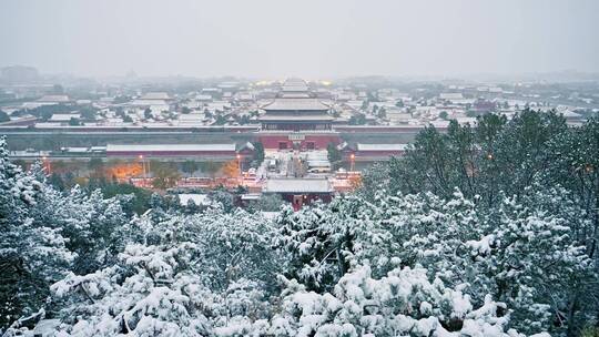 【合集】2022年北京故宫古建雪景实拍