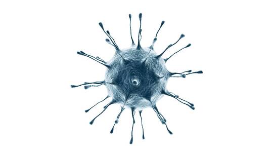 病毒 细胞 细菌 红细胞 肿瘤 癌症 新冠