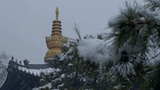 杭州径山寺中式古建筑寺庙雪景高清在线视频素材下载