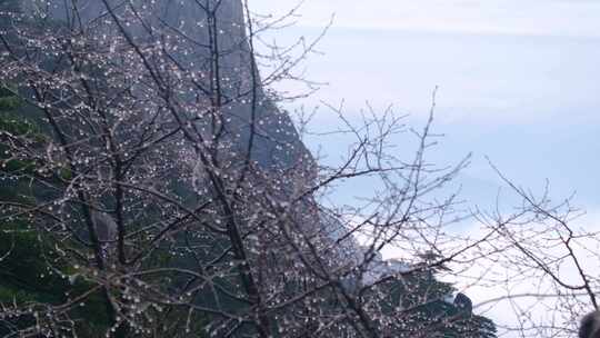 安徽黄山旅游景区游客人流视频素材