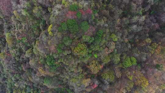 航拍秦岭山脉秋季风景云海