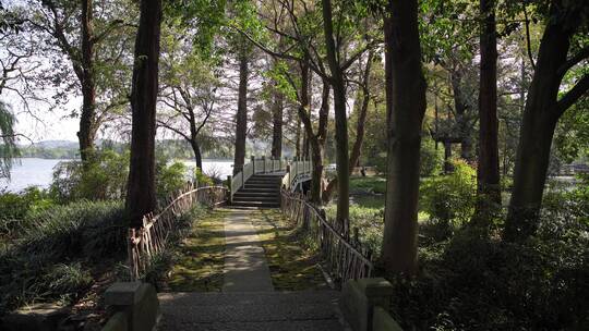 杭州西湖景区杨公堤风景