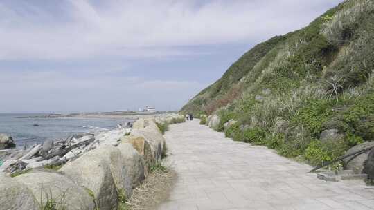 景观海滩水海洋