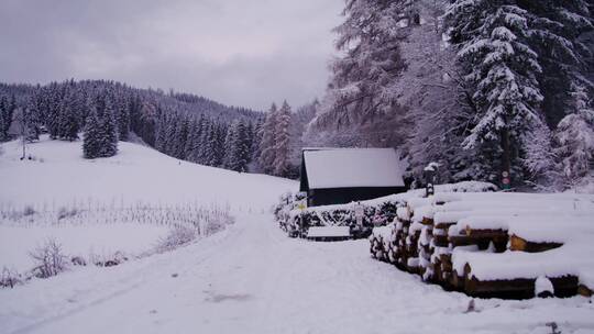 雪后唯美的风景