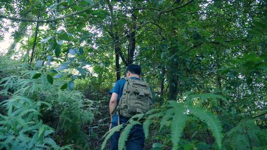 在原始森林爬山户外运动的男人4k视频素材