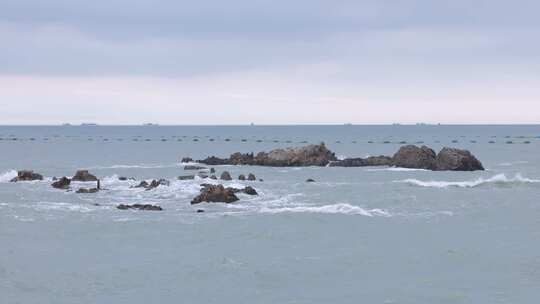 海鸥飞过海面海浪拍打礁石4K