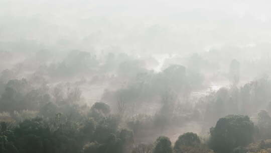 丁达尔光 西溪湿地 江南园林 晨光晨雾