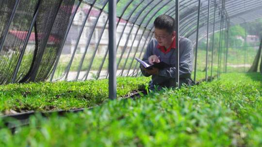 石斛种植园区管理员查看记录石斛生长环境