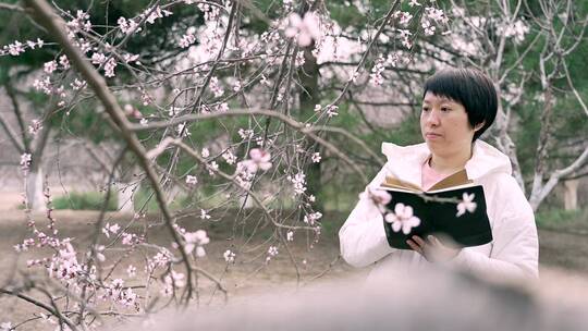 春天在盛开桃花的树下写作的东方女性