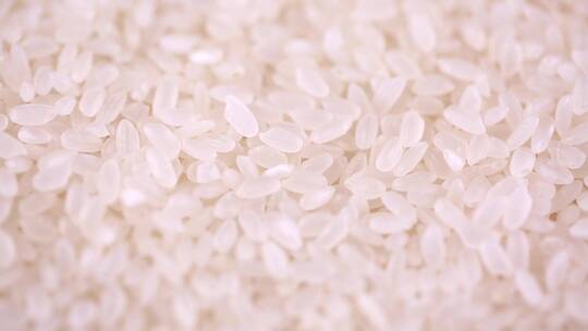 【镜头合集】大米水稻米饭