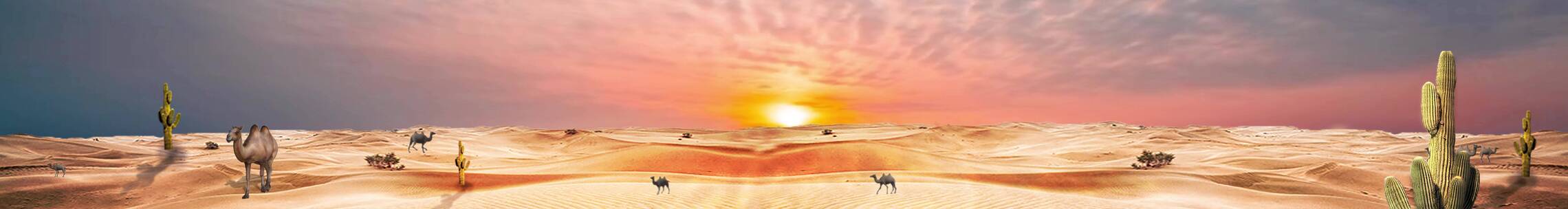 沙漠骆驼 黄昏晚霞 大漠戈壁滩