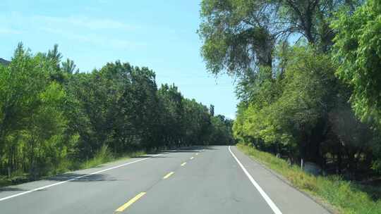 森林开车第一视角树林山路行驶公路远途风景