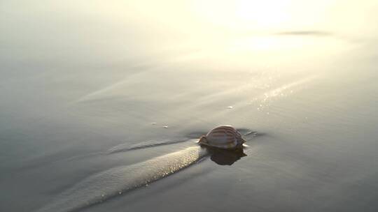 阳光沙滩下海螺贝壳海水浪花海滩沙子夕阳光