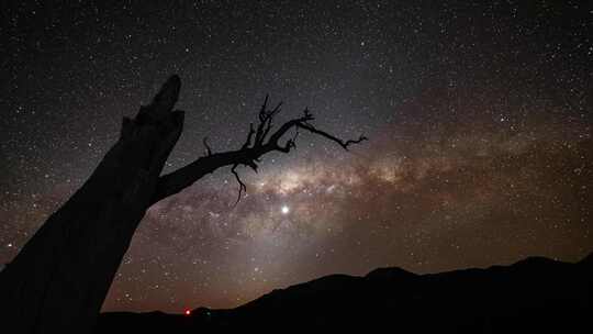 天空，流星，树干，天体摄影