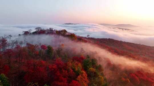 4K秋天五花山吉林东北秋景日出云海云雾逆光