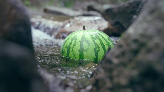 4K实拍夏天西瓜漂浮在清澈冰凉的溪水