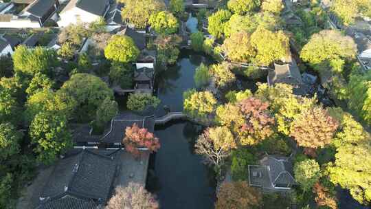 秋季清晨无人的苏州园林拙政园