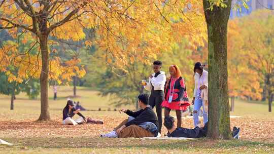 金秋时节大学校园外国留学生生活休闲时光