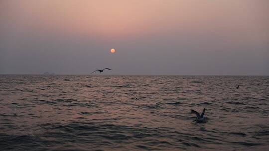 大海空镜延时航拍夕阳落日水产养殖