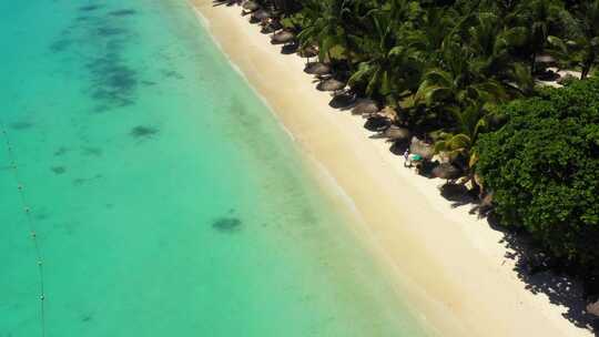 无人机在阳光明媚的白天拍摄。特写飞过棕榈树红树林和美丽的海滩