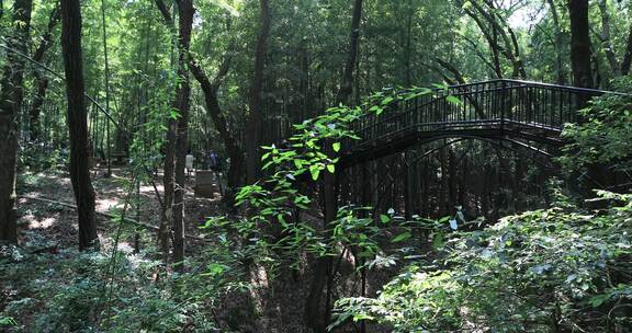 常熟虞山宝岩景区自然风光