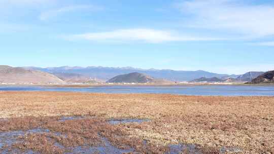 冬季香格里拉纳帕海自然生态