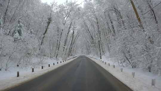 雪景公路 冬季森林