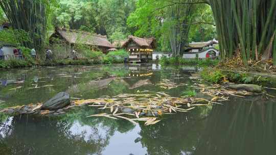 成都杜甫草堂草屋池塘竹林下雨天空镜