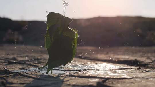 水洒在打破干燥地面的小萌芽上