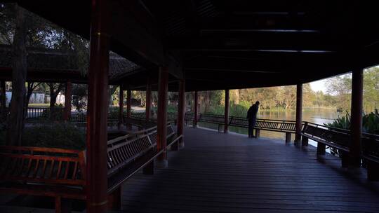 杭州西湖十景茅家埠水乡风景