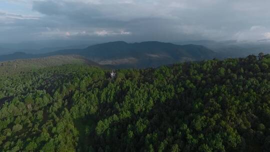 原始森林视频云南山区松树林山顶防火观察哨