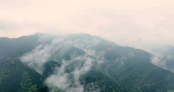 广西山区竹林竹海竹山云海翻滚航拍