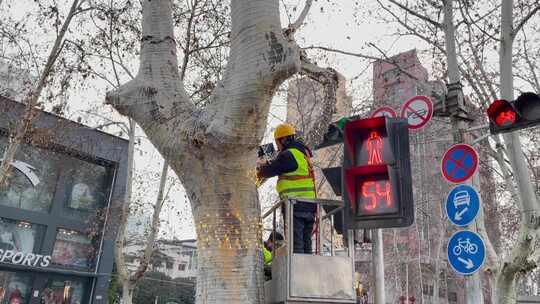 路政工人新年树木灯光亮化装饰