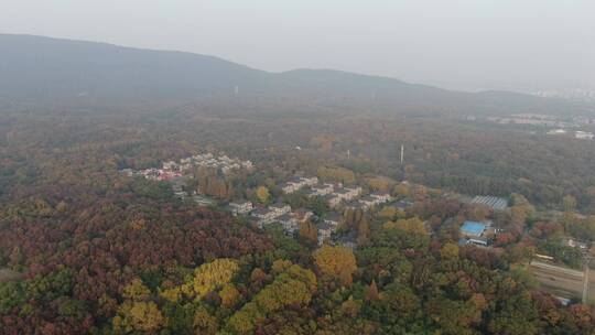 南京钟山5A景区航拍