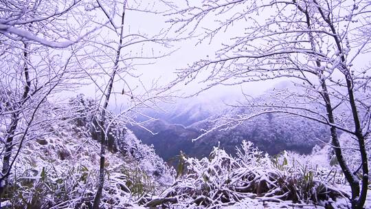 江西三清山雪景