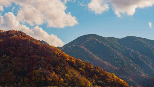 秋日红叶群山