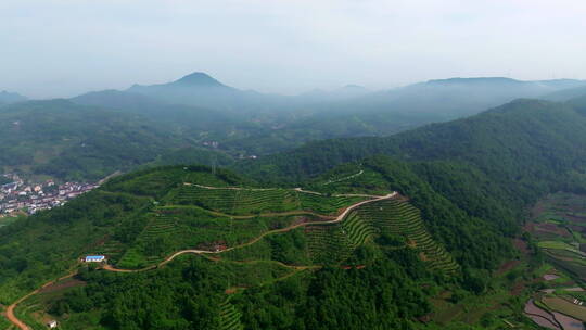 山坡与小路