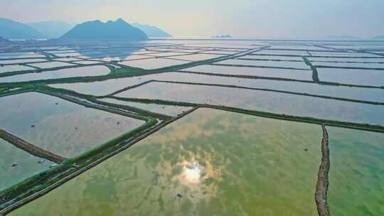 霞浦 鱼虾养殖业 水产养殖业