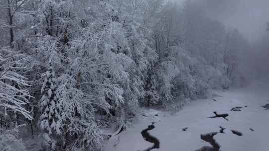 东北冬天暴雪大雪中的林海雪原