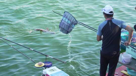 上钩的鱼儿在水中挣扎视频素材模板下载