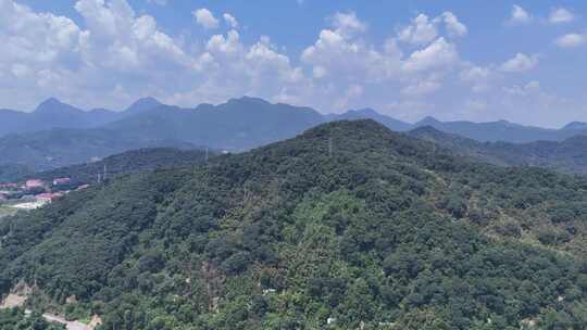 合集福建三明城市绿化植物航拍