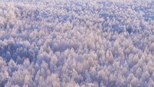 大兴安岭冰雪世界雪森林雾凇-5