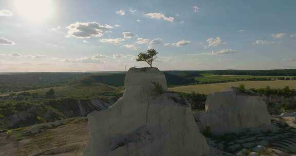 采石场悬崖上一棵树的空中小车镜头，背景美丽