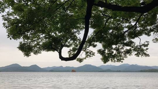 杭州西湖边景色