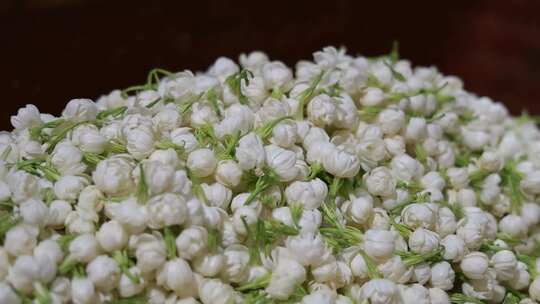 升格慢动作微距特写茉莉花与茉莉花茶制作