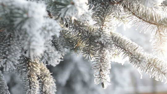 冬天唯美下雪场景