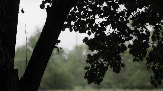 多雨，多云，天气，空气