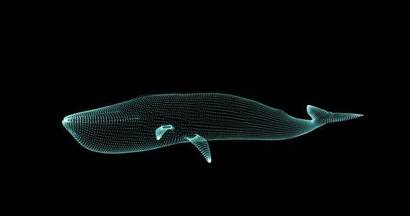 4款唯美蓝鲸鲸 发光荧光粒子鲸鱼
