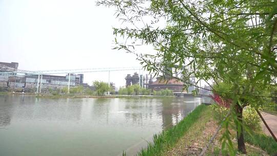 春季楼宇河边绿化带植物