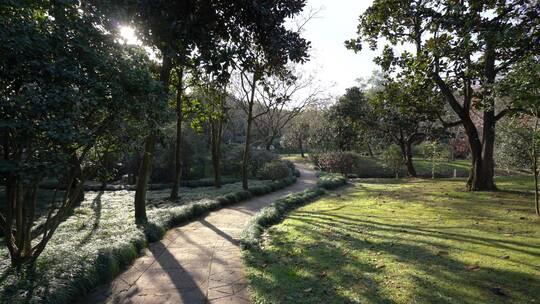 杭州西湖景区植物园